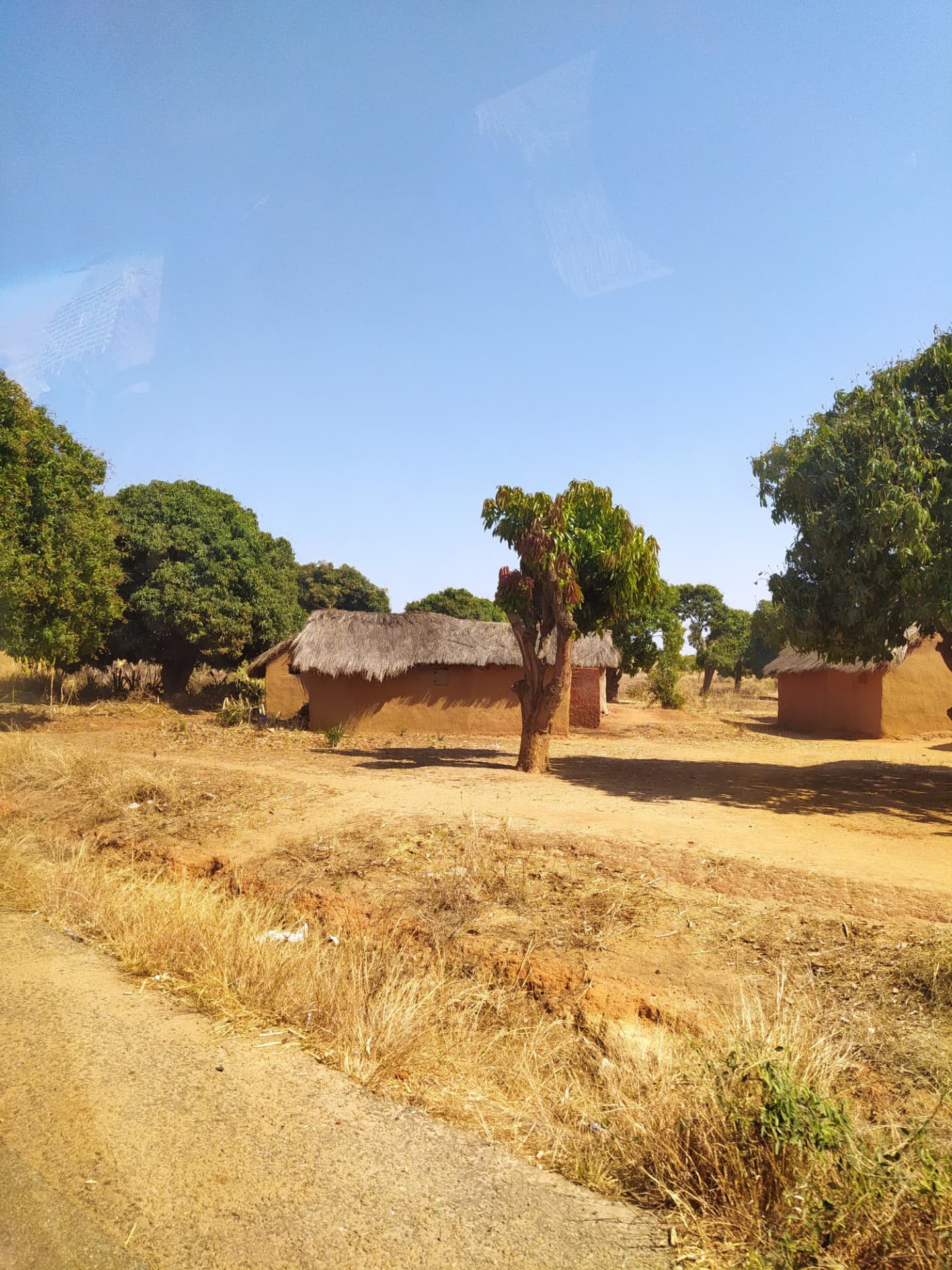 Rural village and trees in the Malagasy countryside