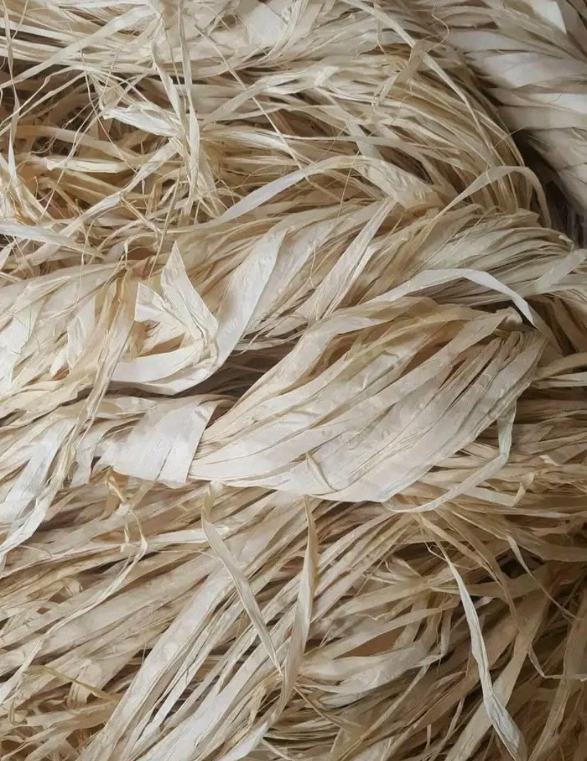 Close-up of natural Madagascar raffia texture