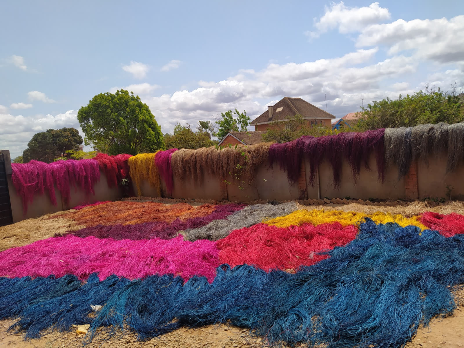Natural and dyed raffia drying in Madagascar